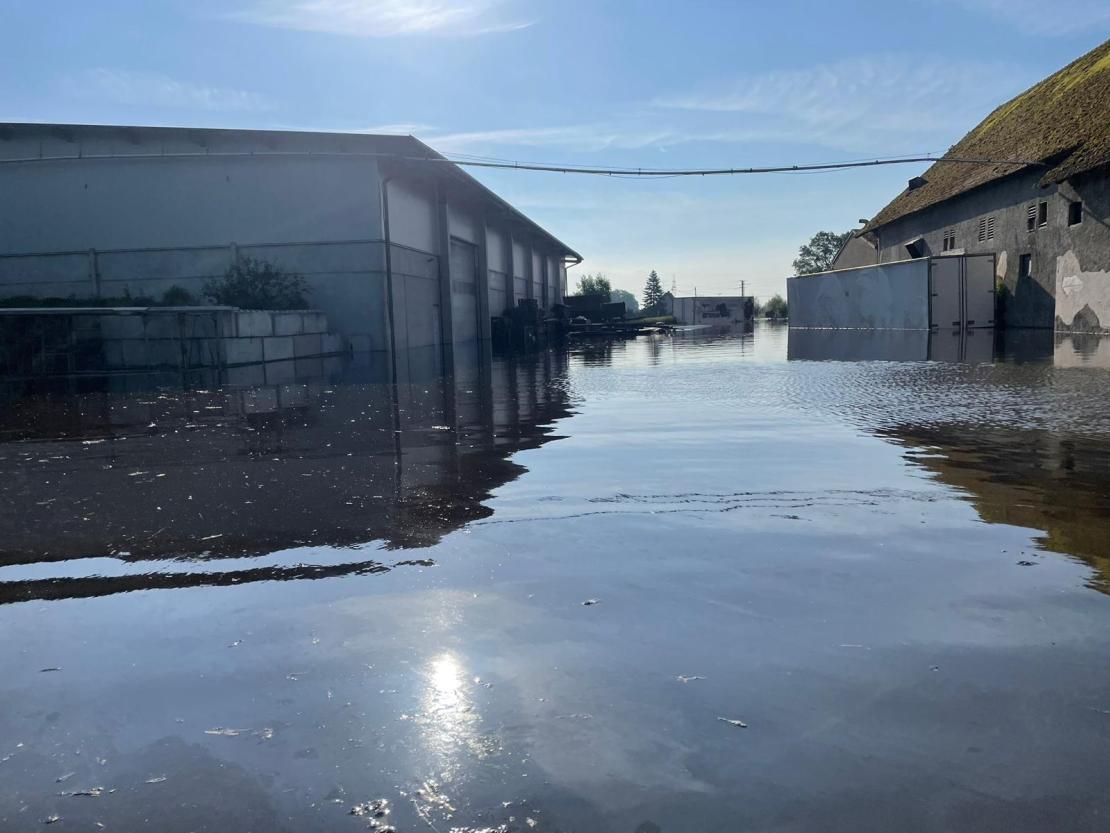 Hochwasser 2024, Zusum