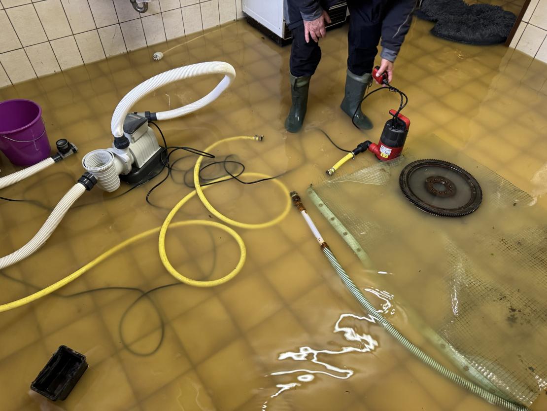 In Brachstadt müssen Keller ausgepumpt werden. 