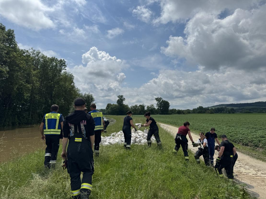 Dammsicherungen am Kesseldamm am Naherholungsgebiet Riedlingen. 