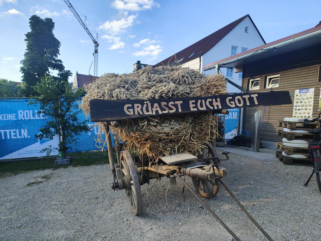Harburg feiert 175 Jahre Stadterhebung.