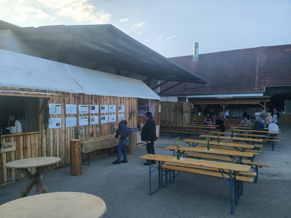 Harburg feiert 175 Jahre Stadterhebung.