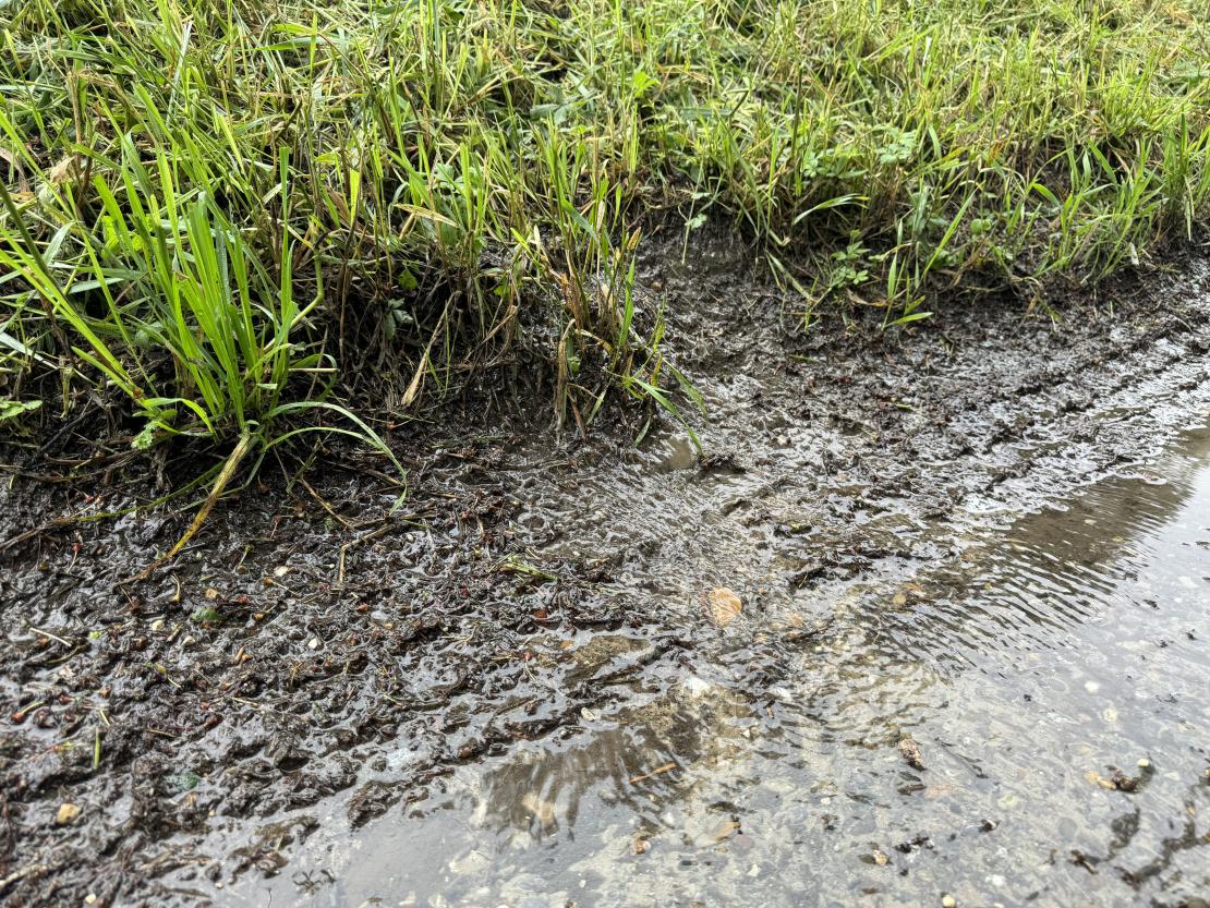 Hochwasser 2024 Kesseldamm