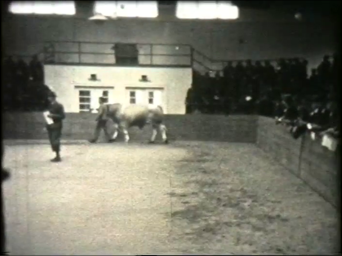 Historische Filmaufnahmen aus Donauwörth zwischen 1929 und 1945.