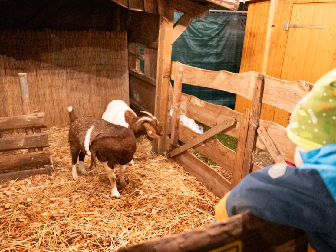 Christkindlesmarkt Oettingen 2024