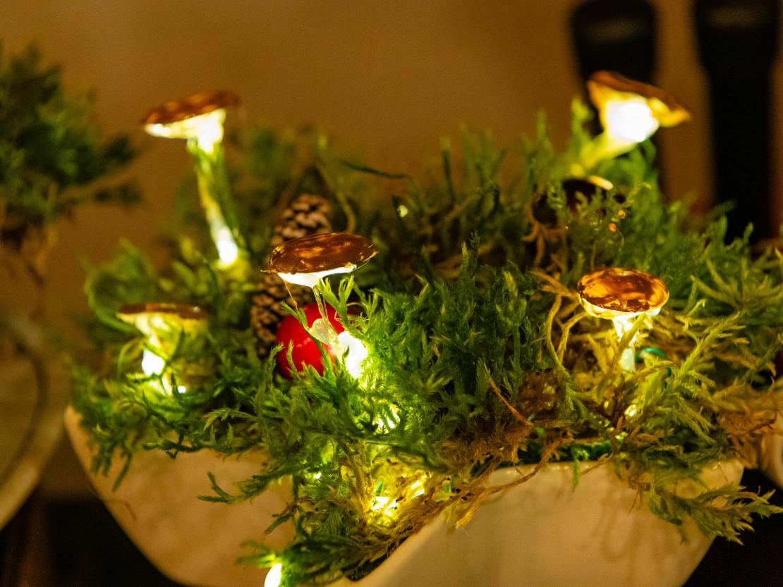 Weihnachtsmarkt Harburg 2024