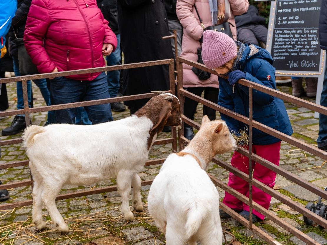 Weihnachtsmarkt Harburg 2024