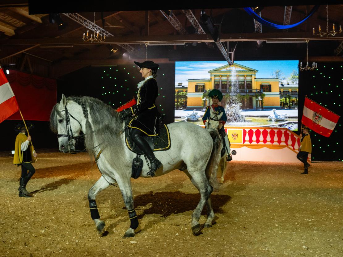 Christmas on Horse 2024