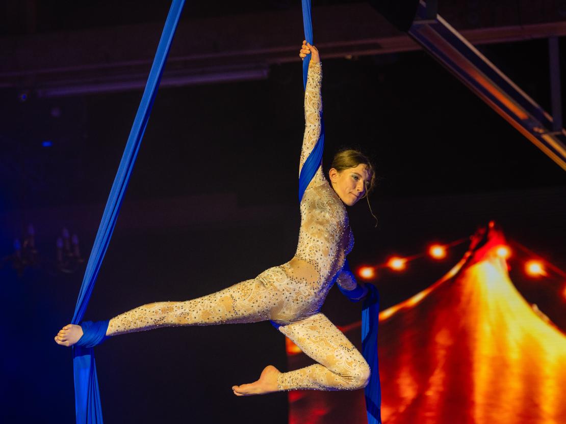 Christmas on Horse 2024