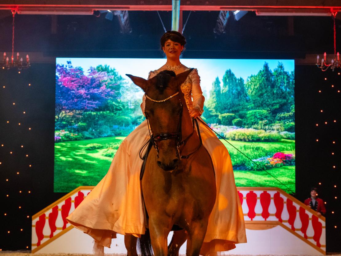 Christmas on Horse 2024