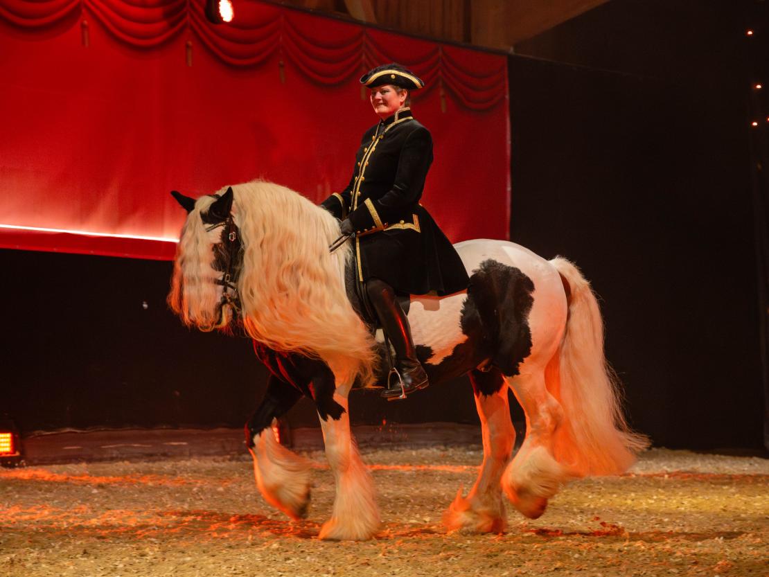 Christmas on Horse 2024