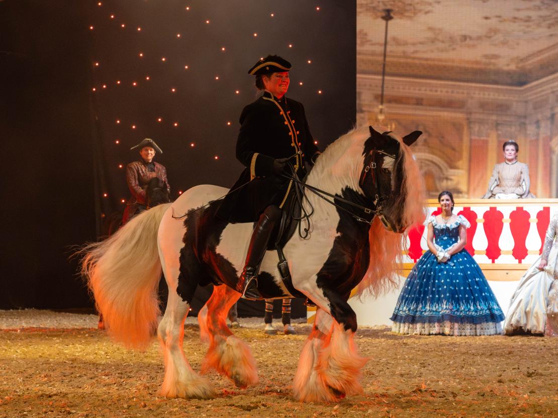 Christmas on Horse 2024