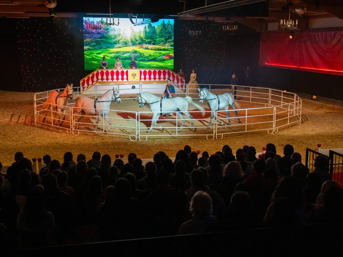 Christmas on Horse 2024