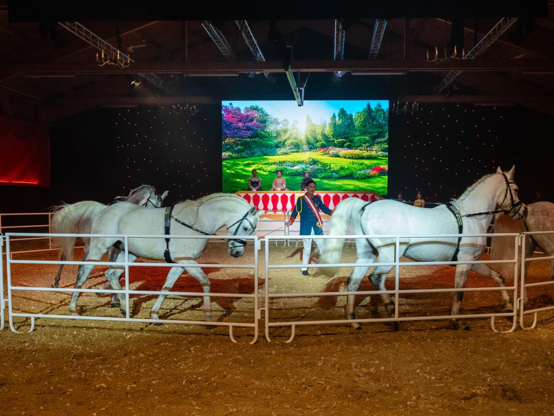 Christmas on Horse 2024