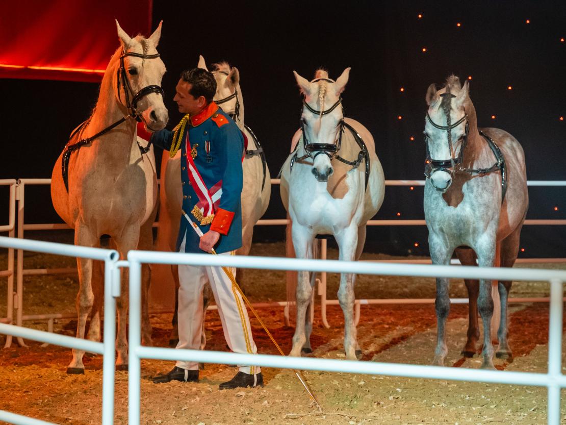 Christmas on Horse 2024