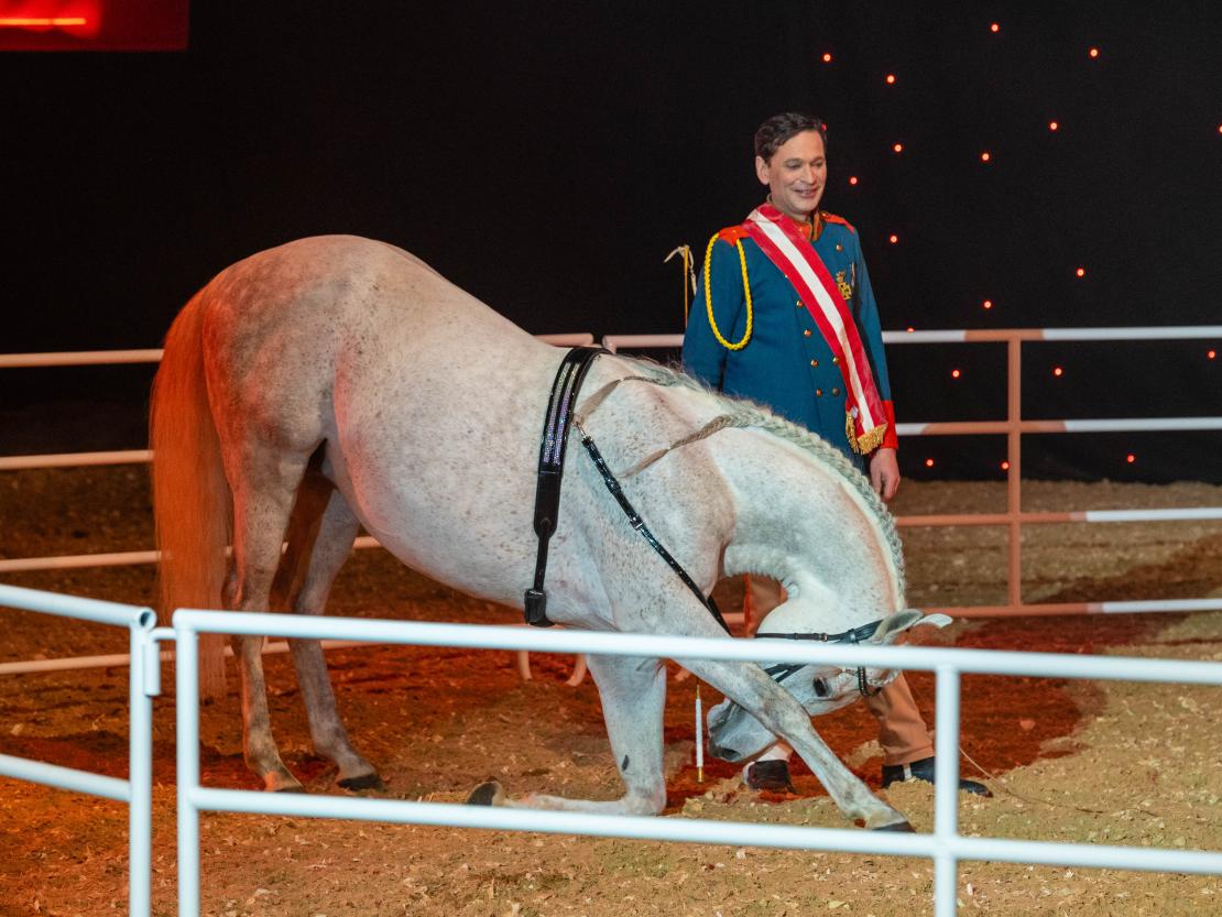 Christmas on Horse 2024