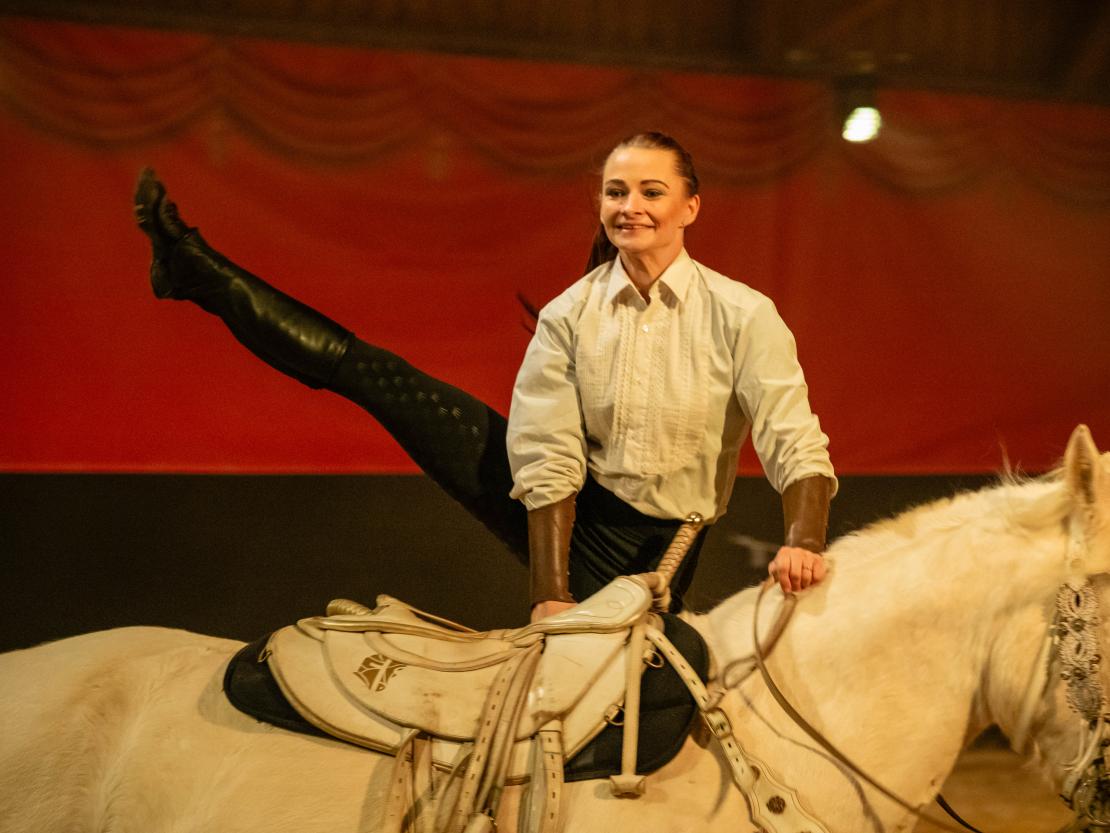 Christmas on Horse 2024