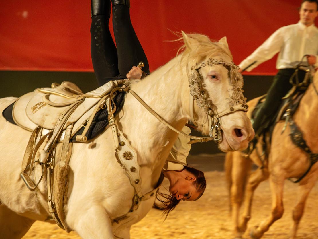 Christmas on Horse 2024