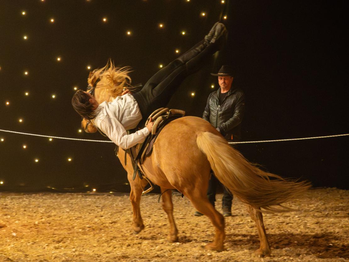 Christmas on Horse 2024