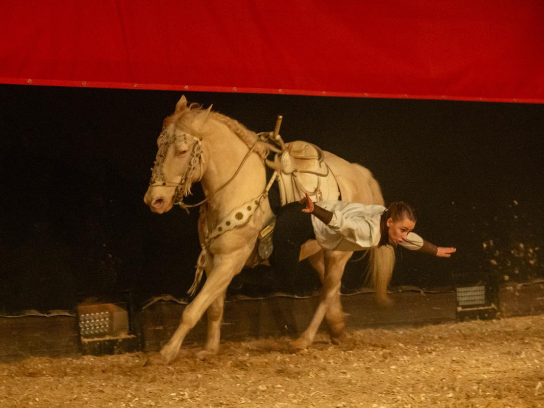 Christmas on Horse 2024