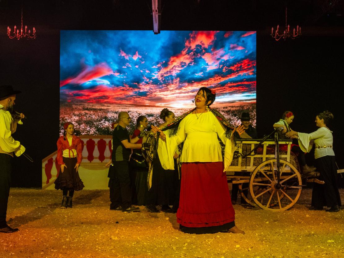 Christmas on Horse 2024