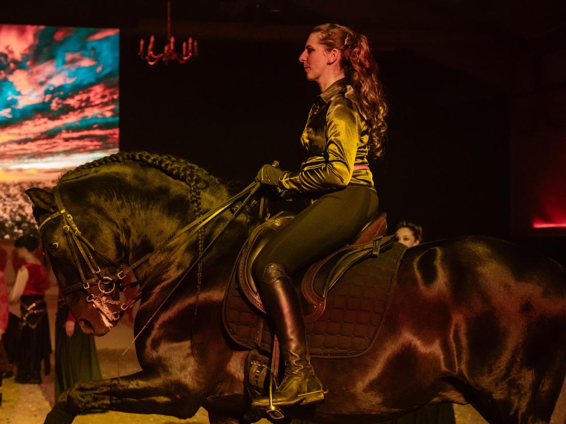 Christmas on Horse 2024