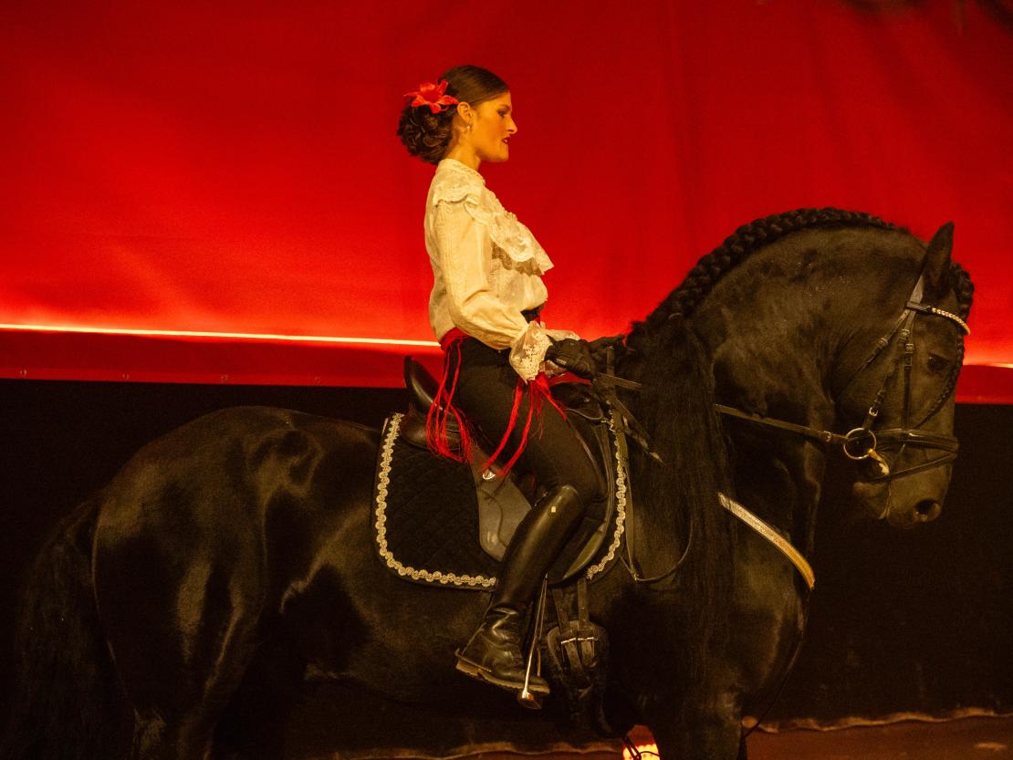 Christmas on Horse 2024