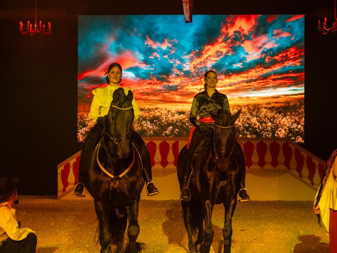 Christmas on Horse 2024