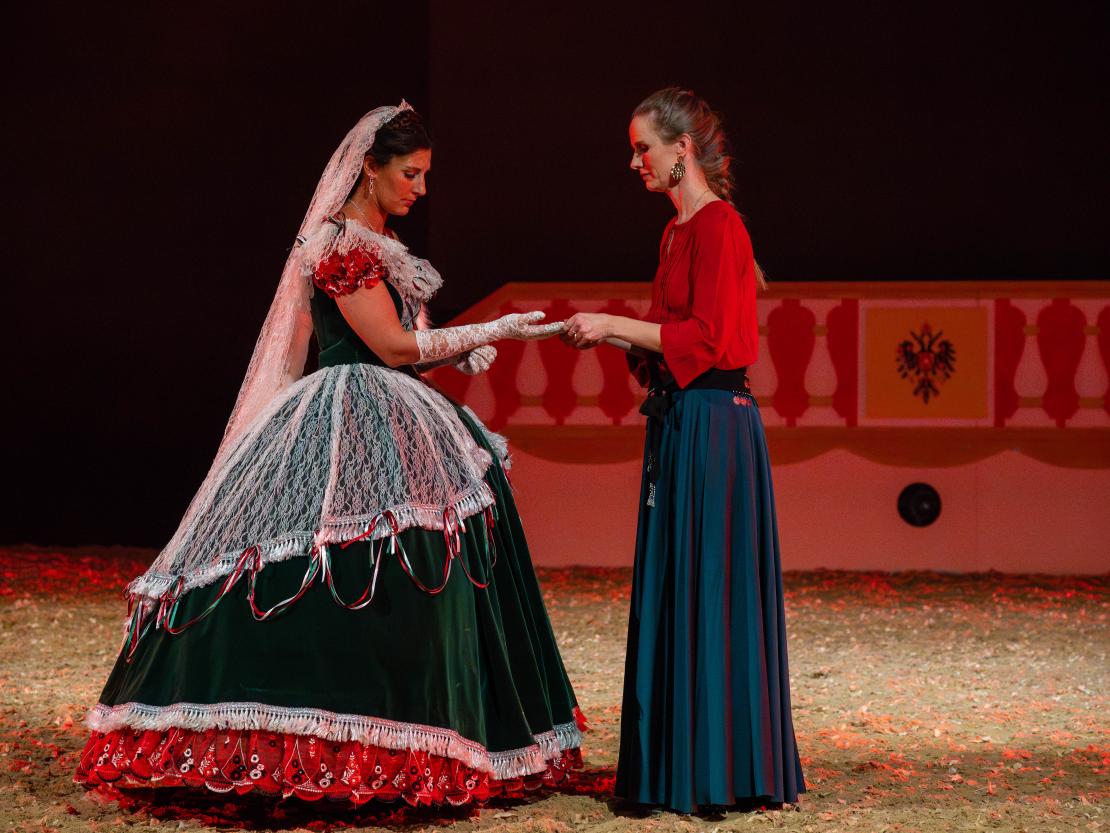 Christmas on Horse 2024