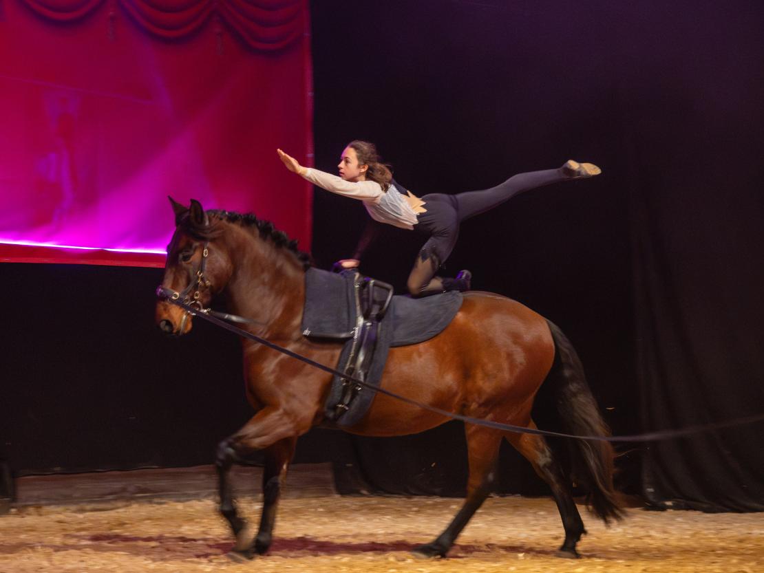 Christmas on Horse 2024