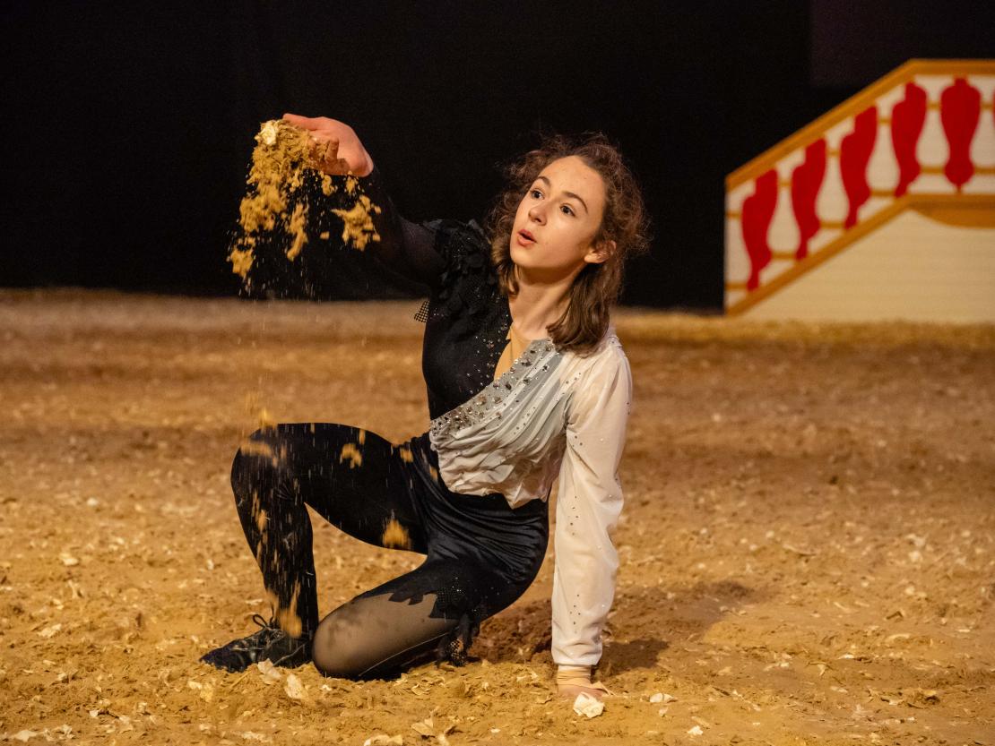 Christmas on Horse 2024