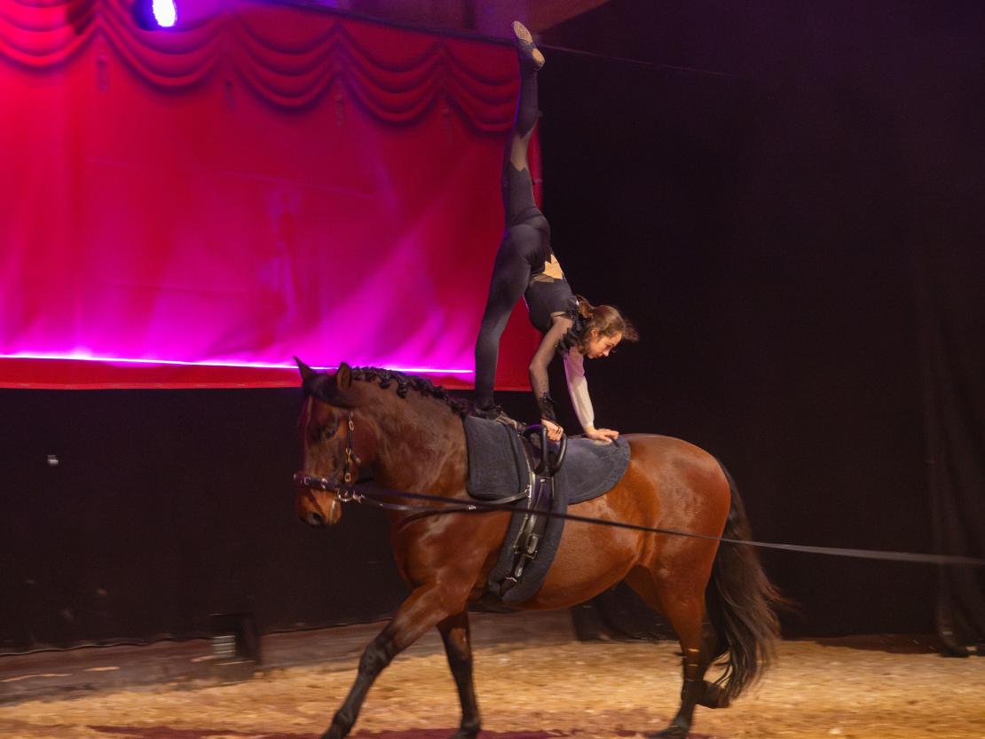 Christmas on Horse 2024