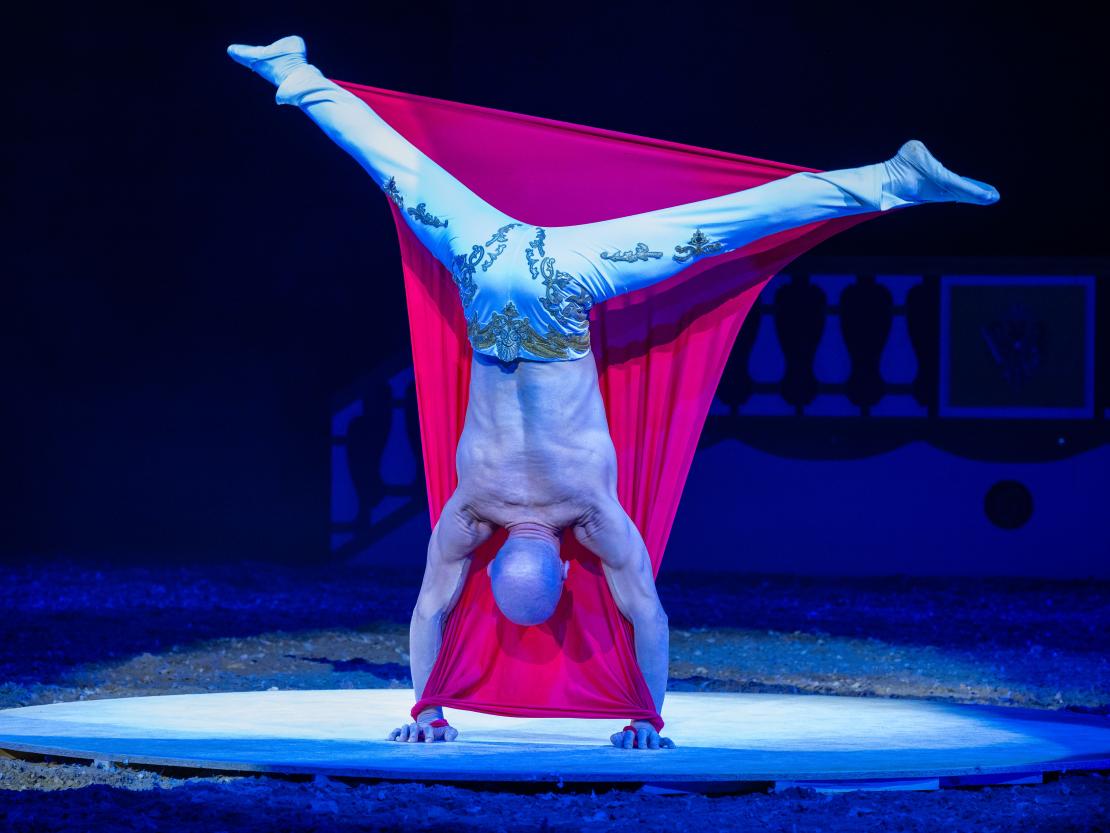 Christmas on Horse 2024