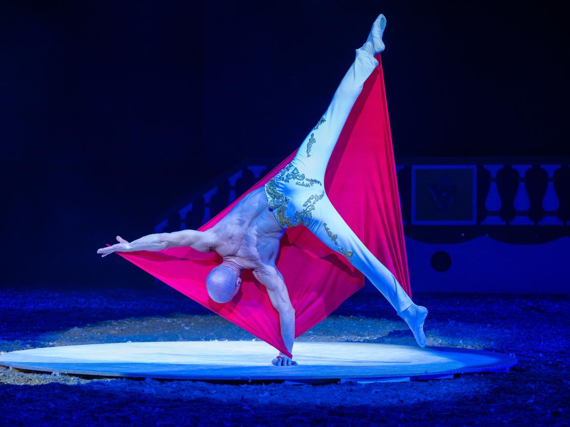 Christmas on Horse 2024