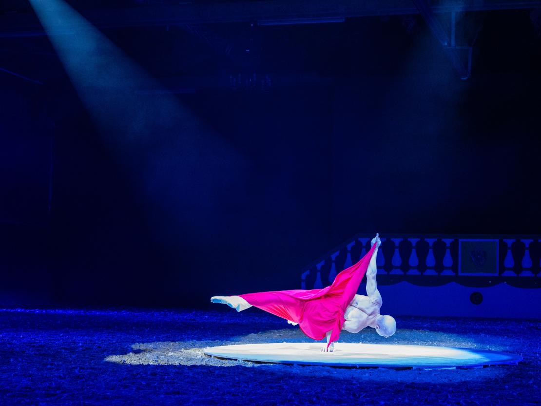 Christmas on Horse 2024