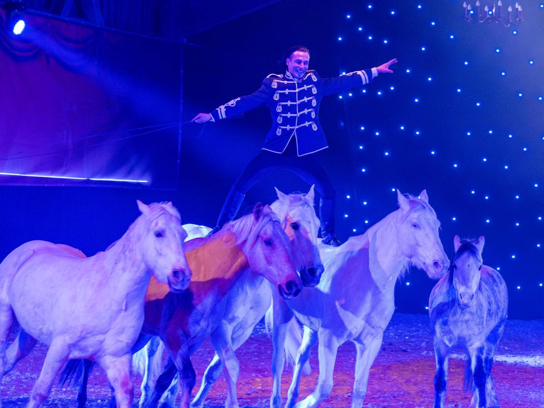 Christmas on Horse 2024