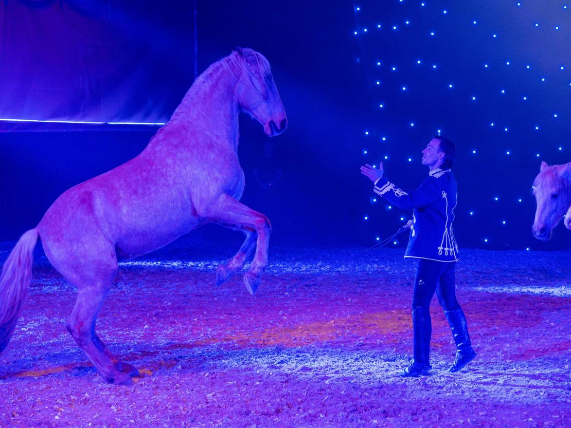 Christmas on Horse 2024