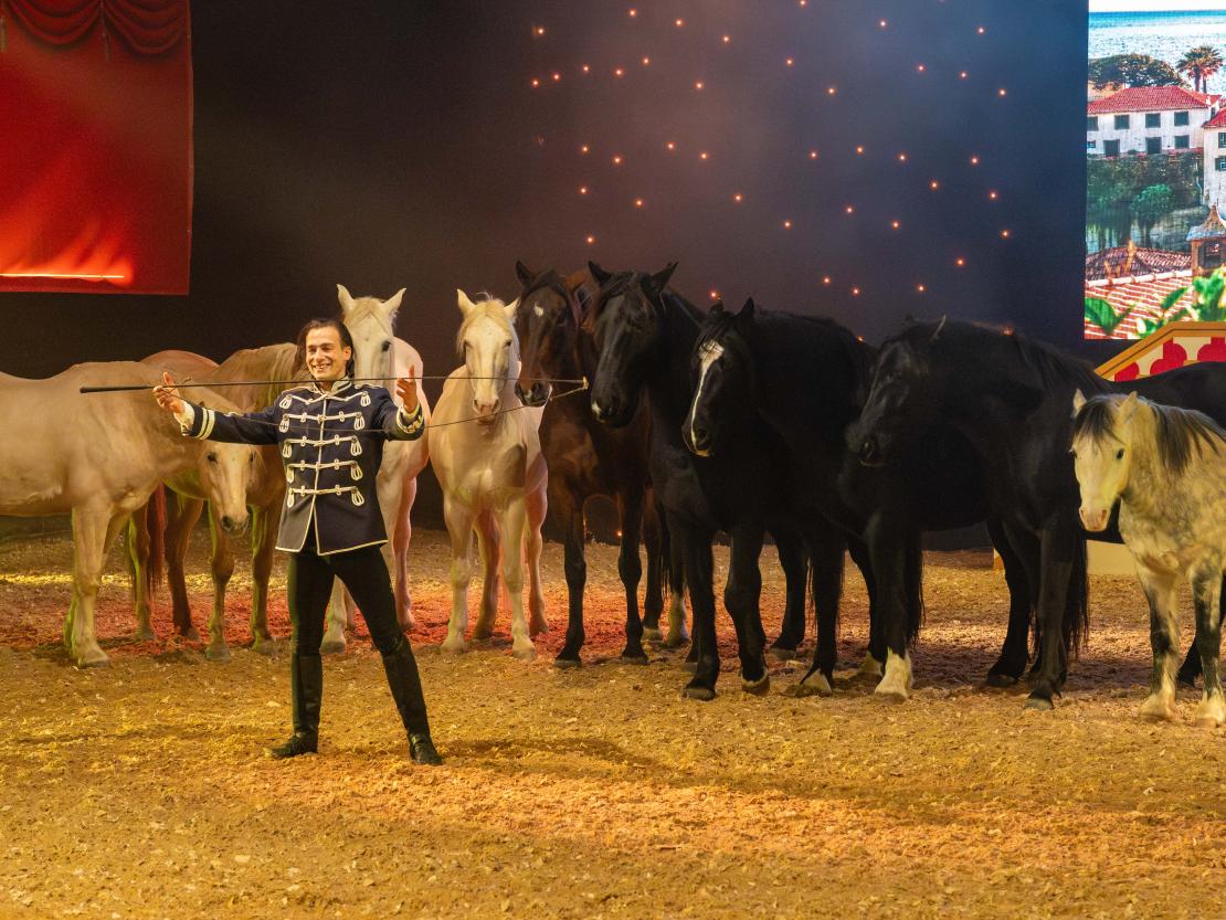 Christmas on Horse 2024