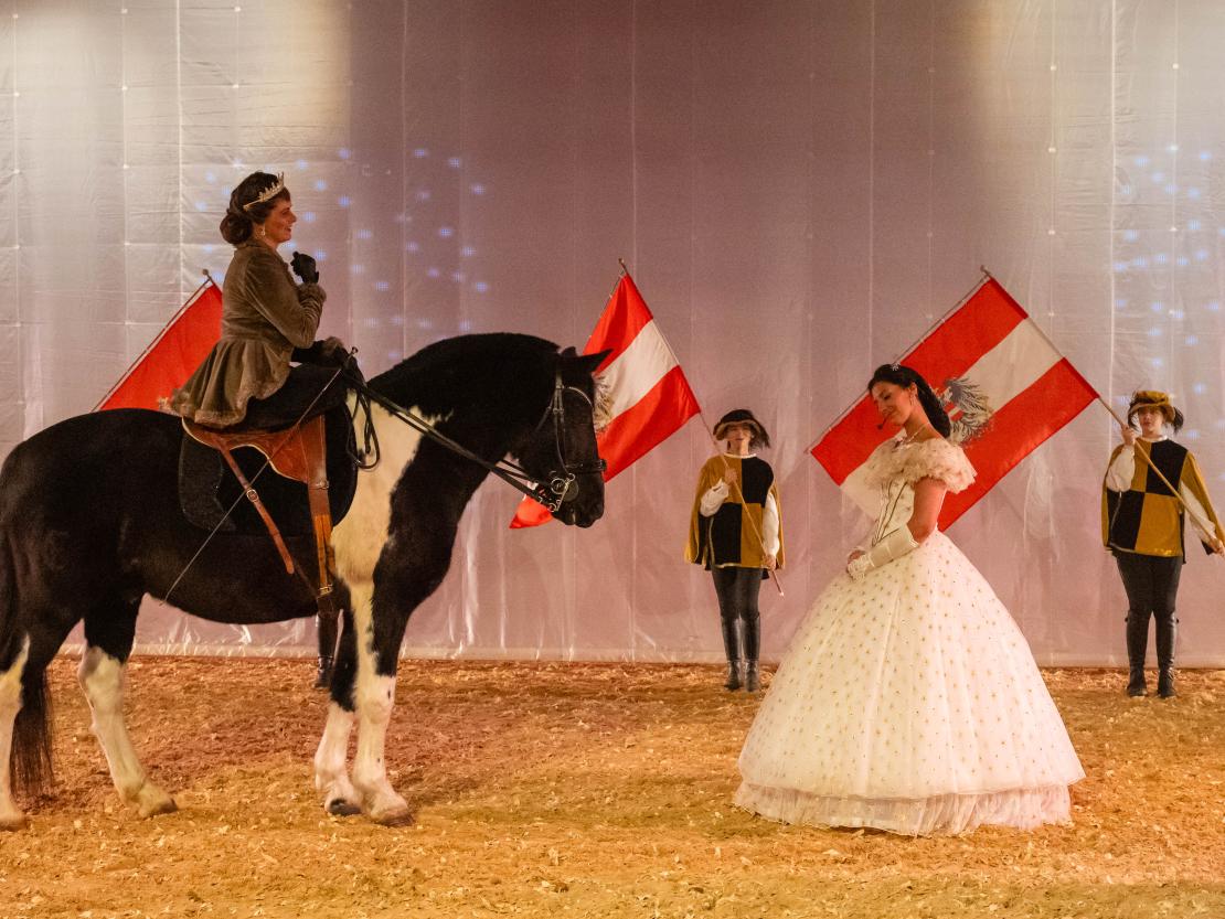 Christmas on Horse 2024