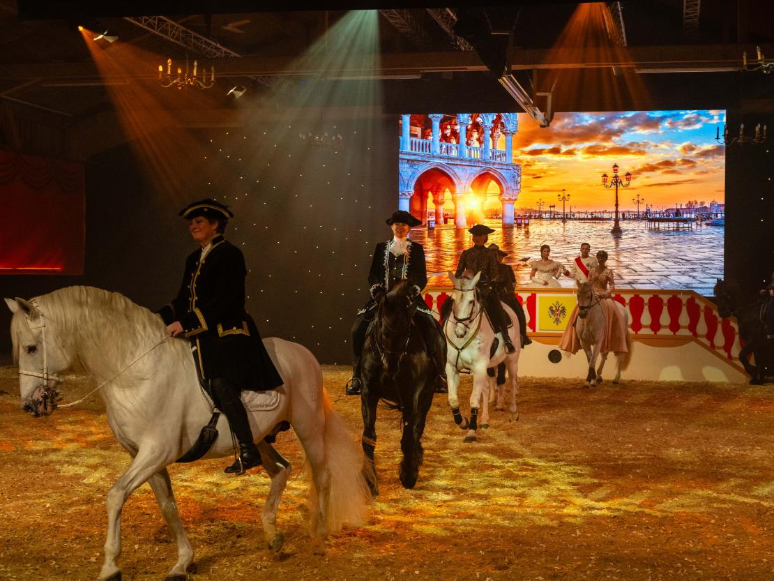 Christmas on Horse 2024