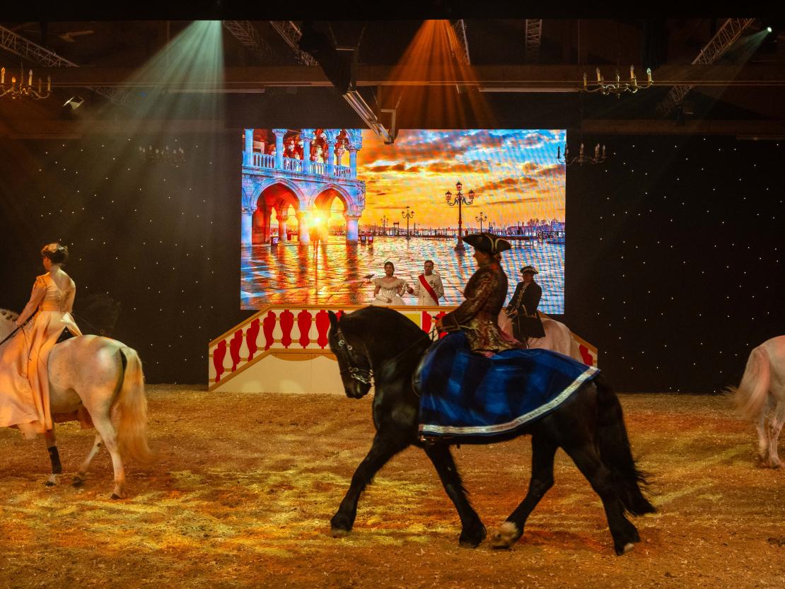 Christmas on Horse 2024