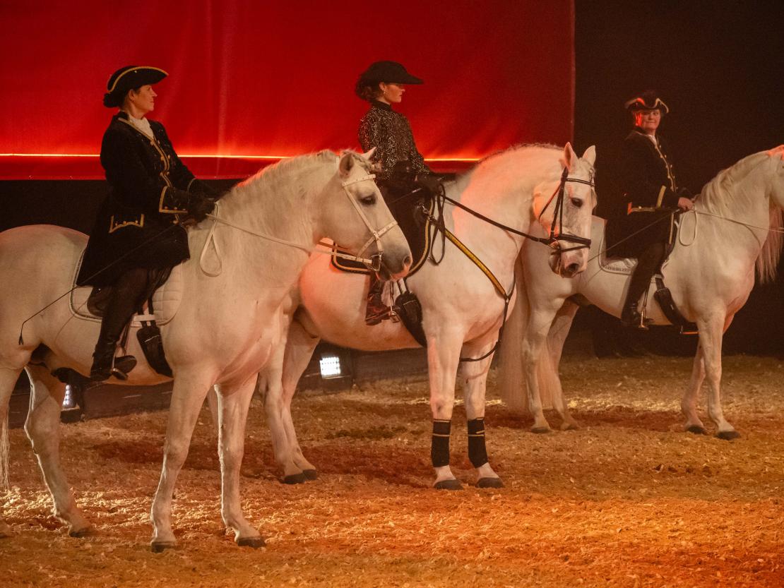 Christmas on Horse 2024