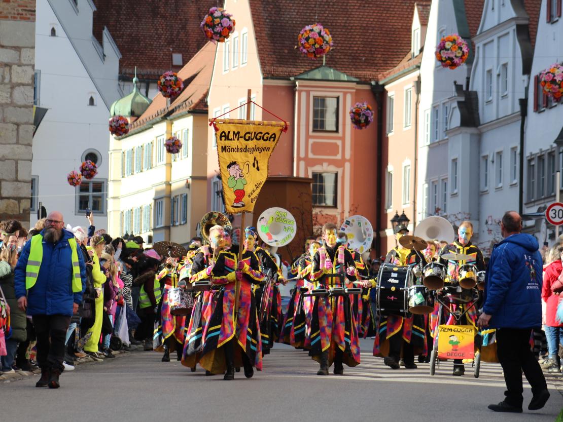 Faschingsumzug Donauwörth 2025