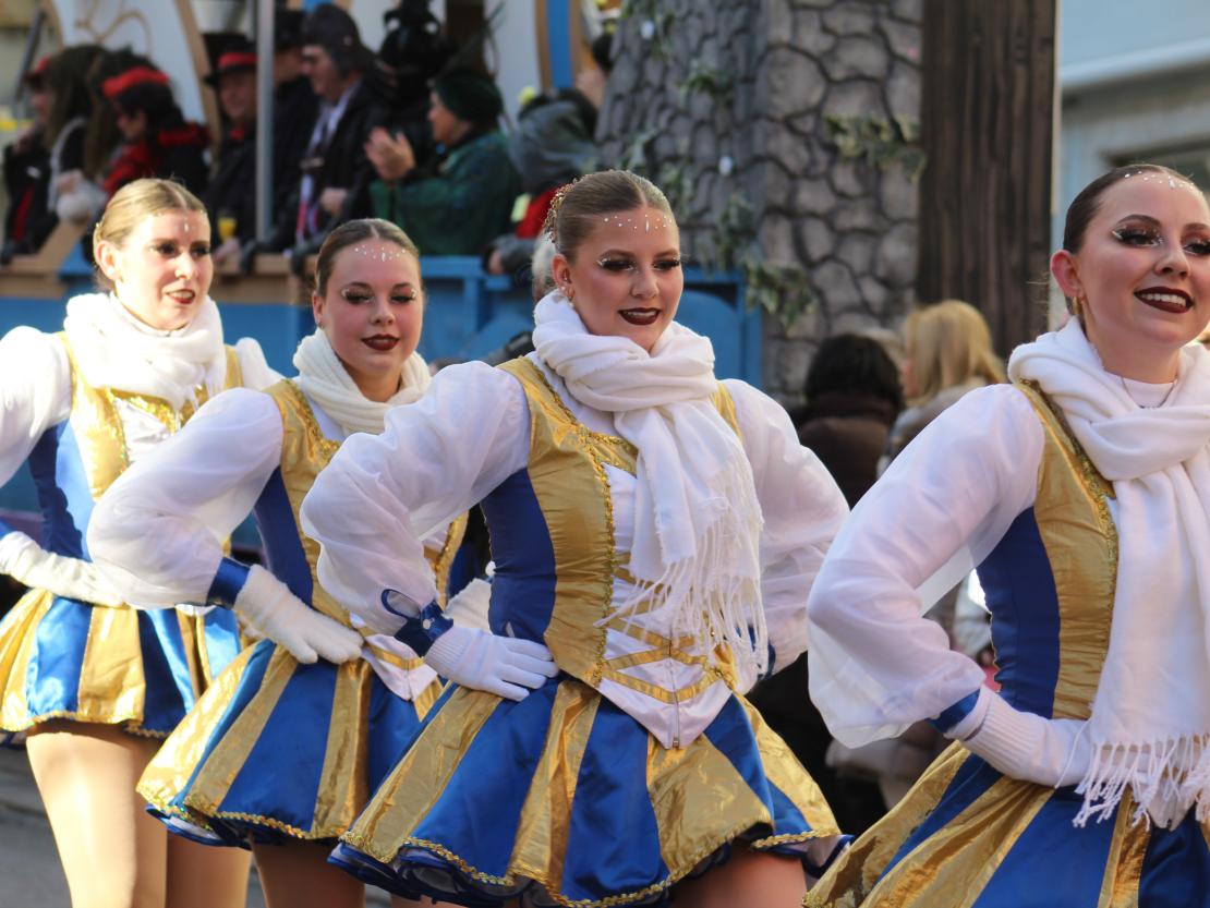 Faschingsumzug Donauwörth 2025