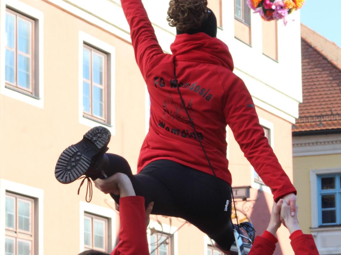 Faschinsumzug Donauwörth 2025