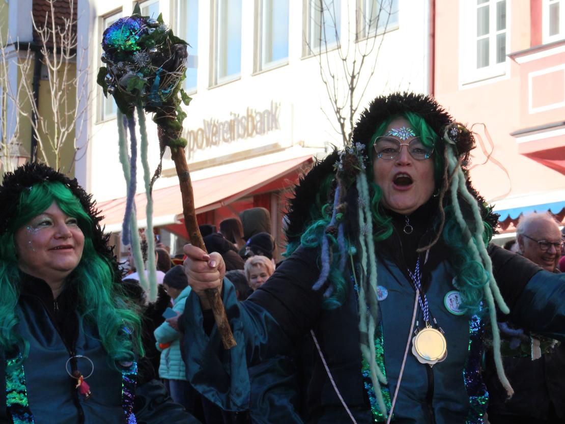 Faschinsumzug Donauwörth 2025