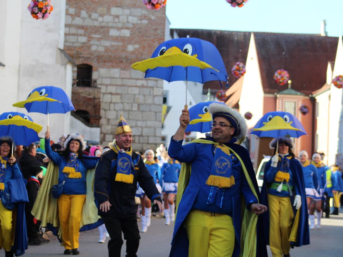 Faschinsumzug Donauwörth 2025