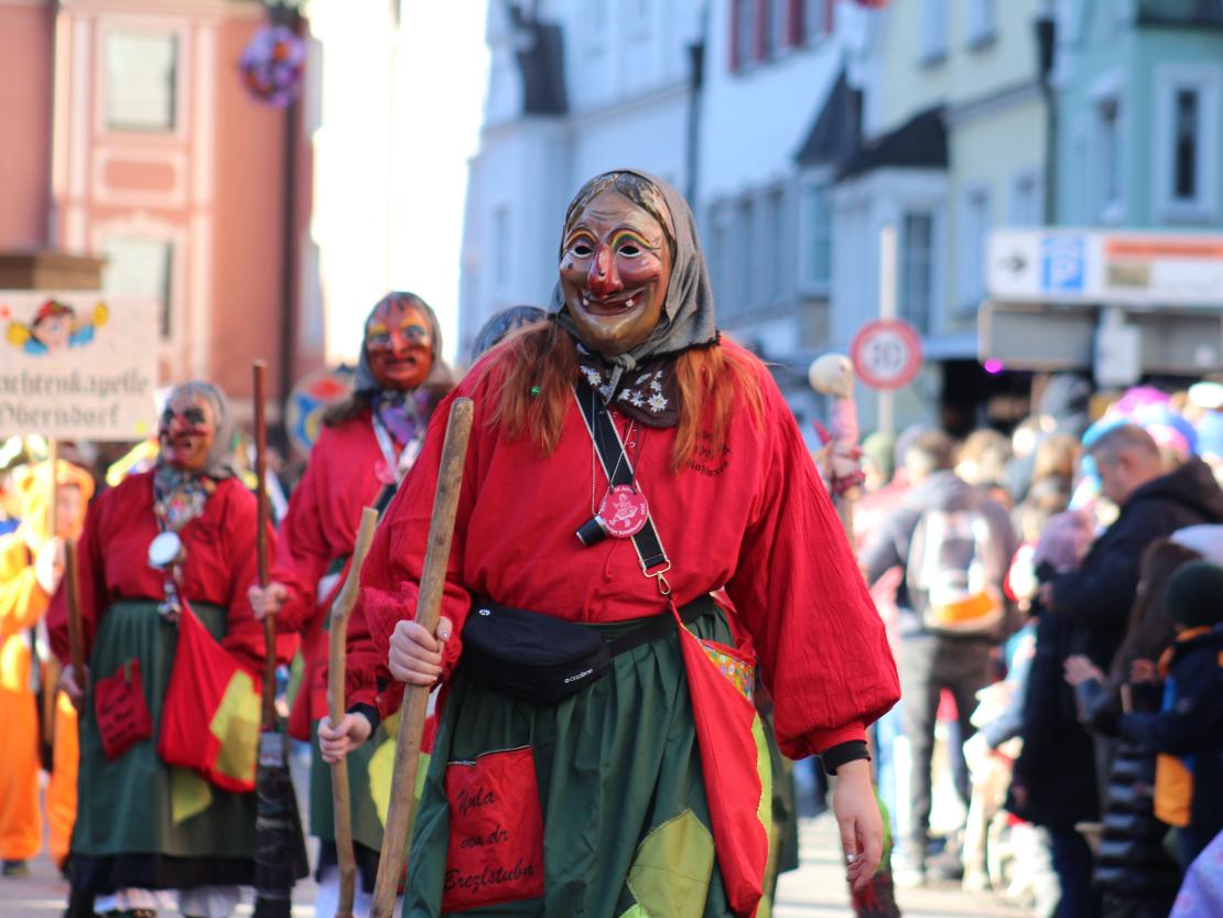 Faschingsumzug Donauwörth 2025