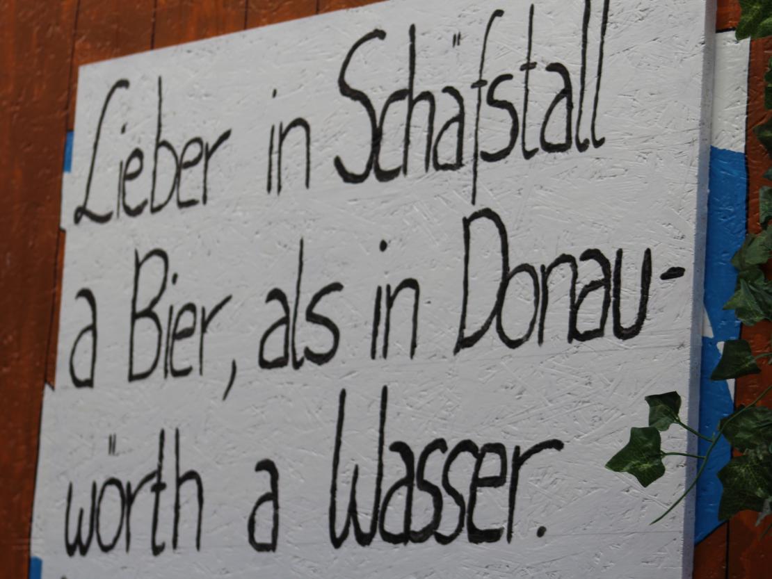 Faschingsumzug Donauwörth 2025