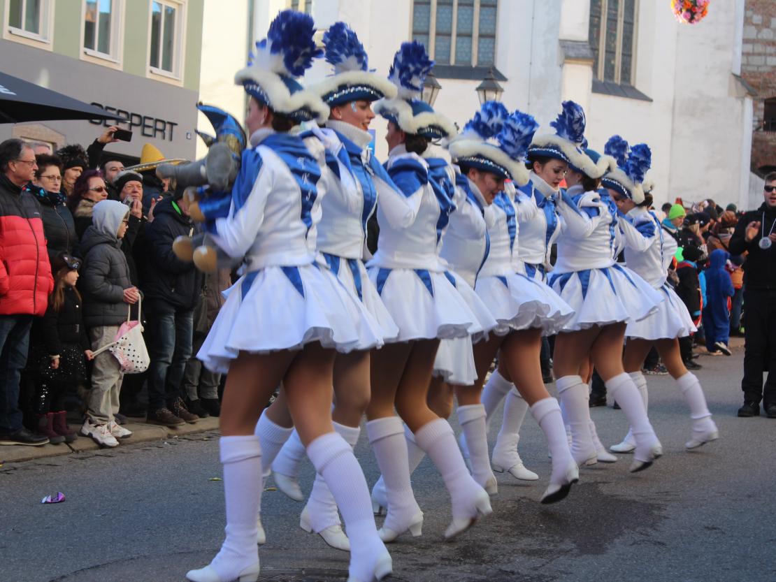 Faschingsumzug Donauwörth 2025