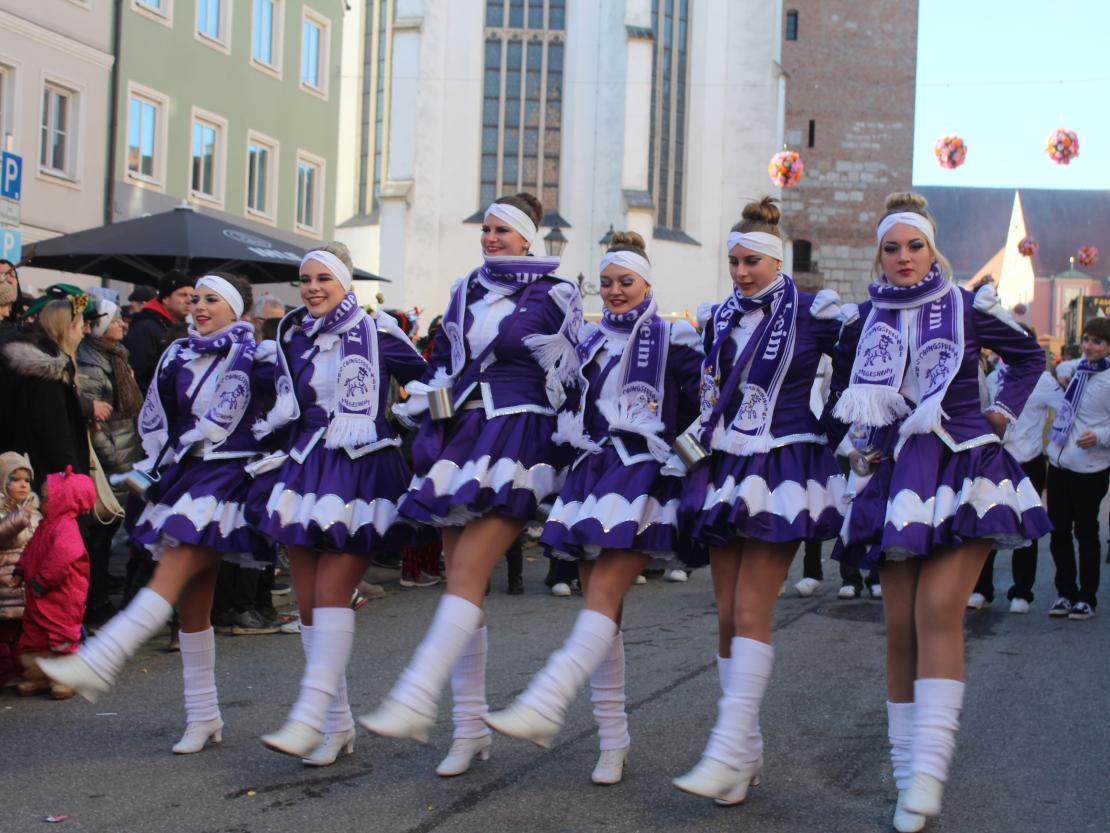 Faschingsumzug Donauwörth 2025